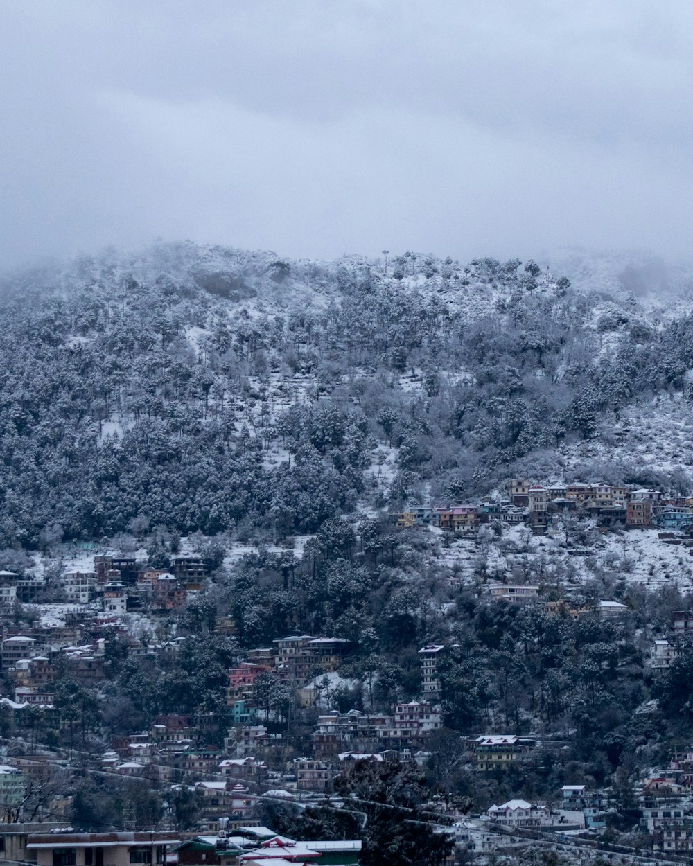 aerial view of city during daytime