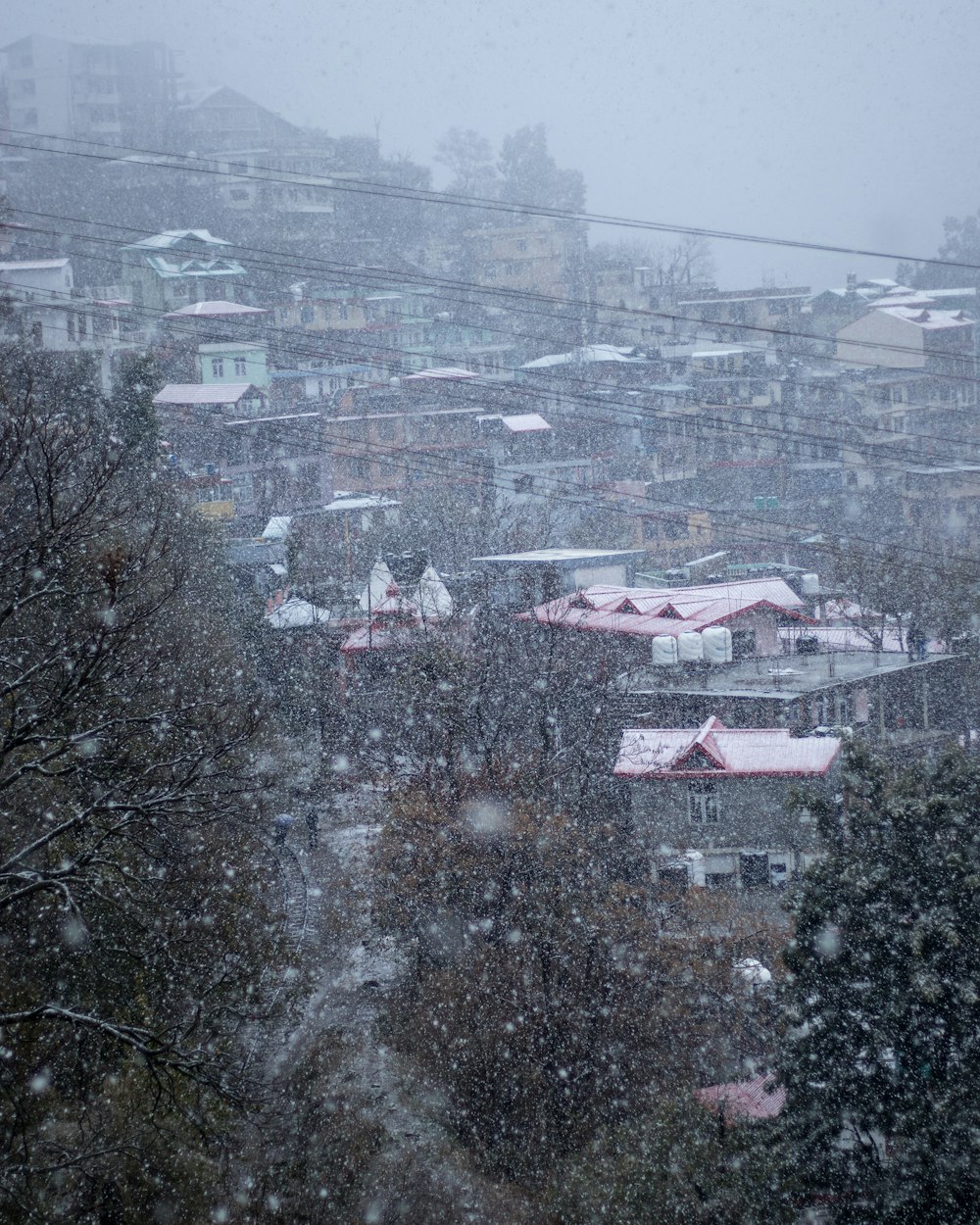 snow covered houses and trees during daytime