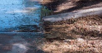 A waterlogged concrete sidewalk runs alongside a curbed section with muddy debris and scattered foliage. The surface of the water reflects light, and surrounding dry patches of soil and small rocks are visible.