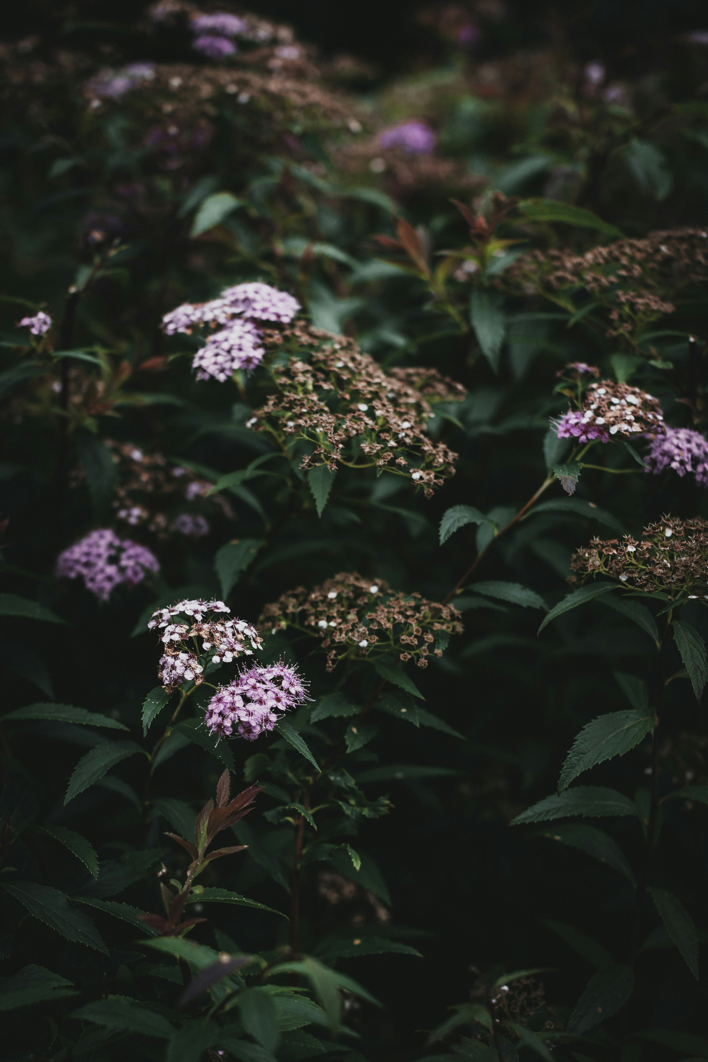 Photo by theshuttervision