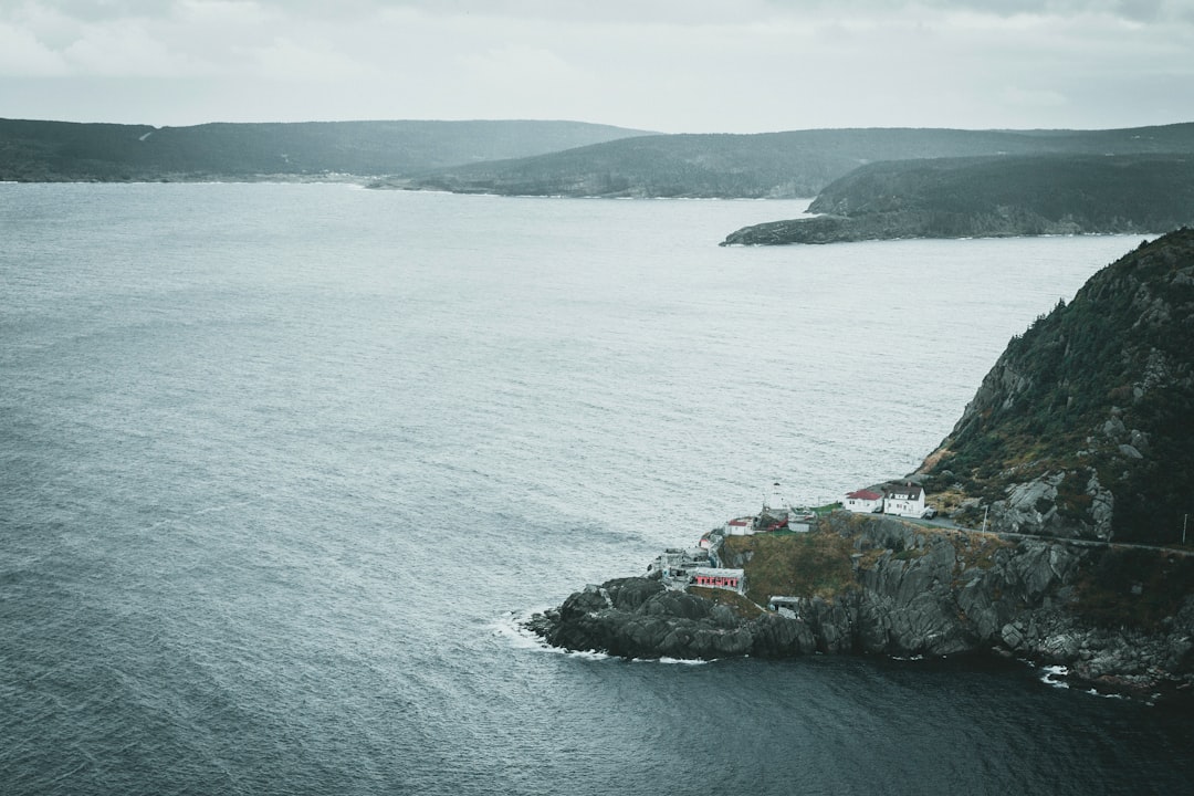 aerial view of green and brown island during daytime