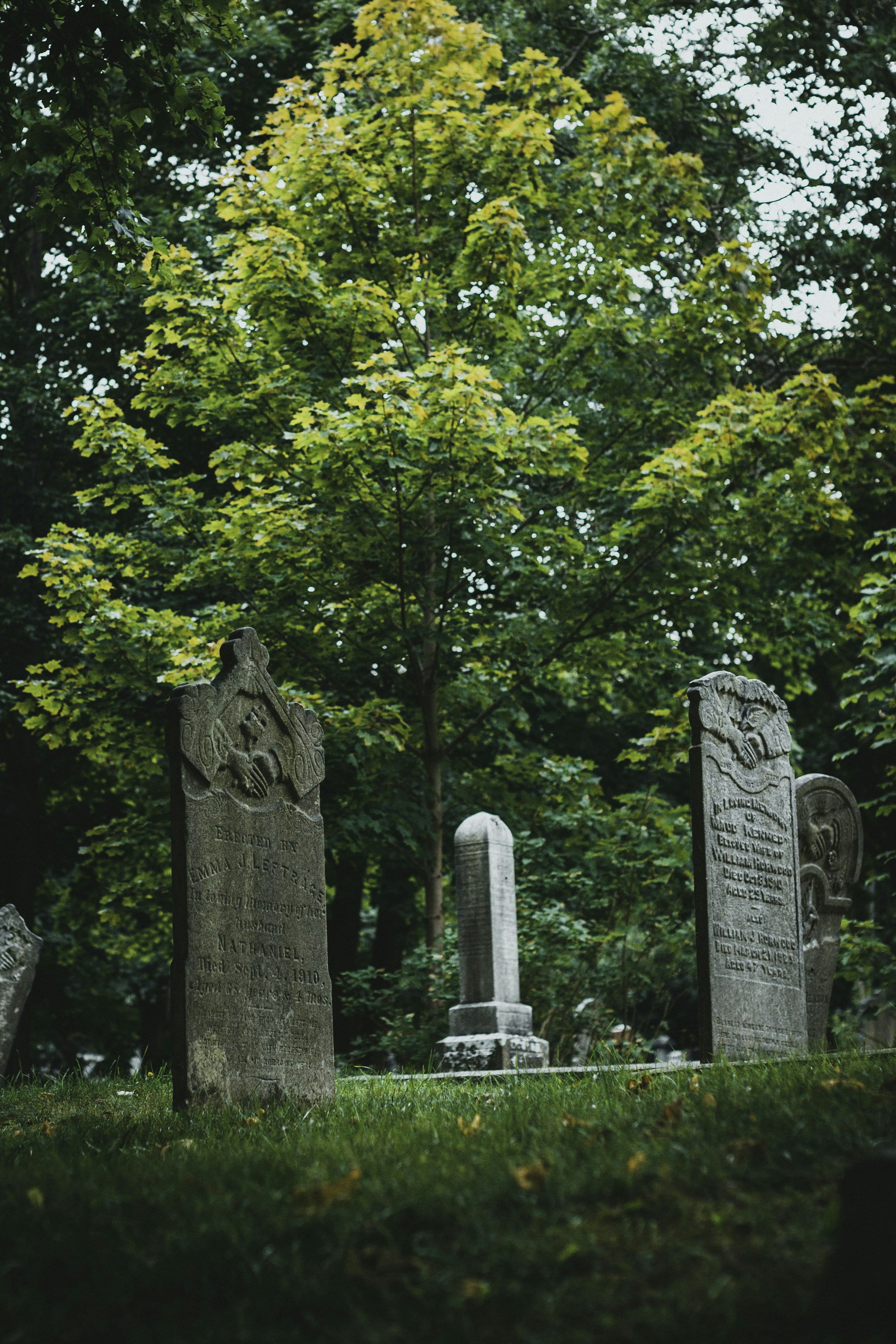 Photo by theshuttervision