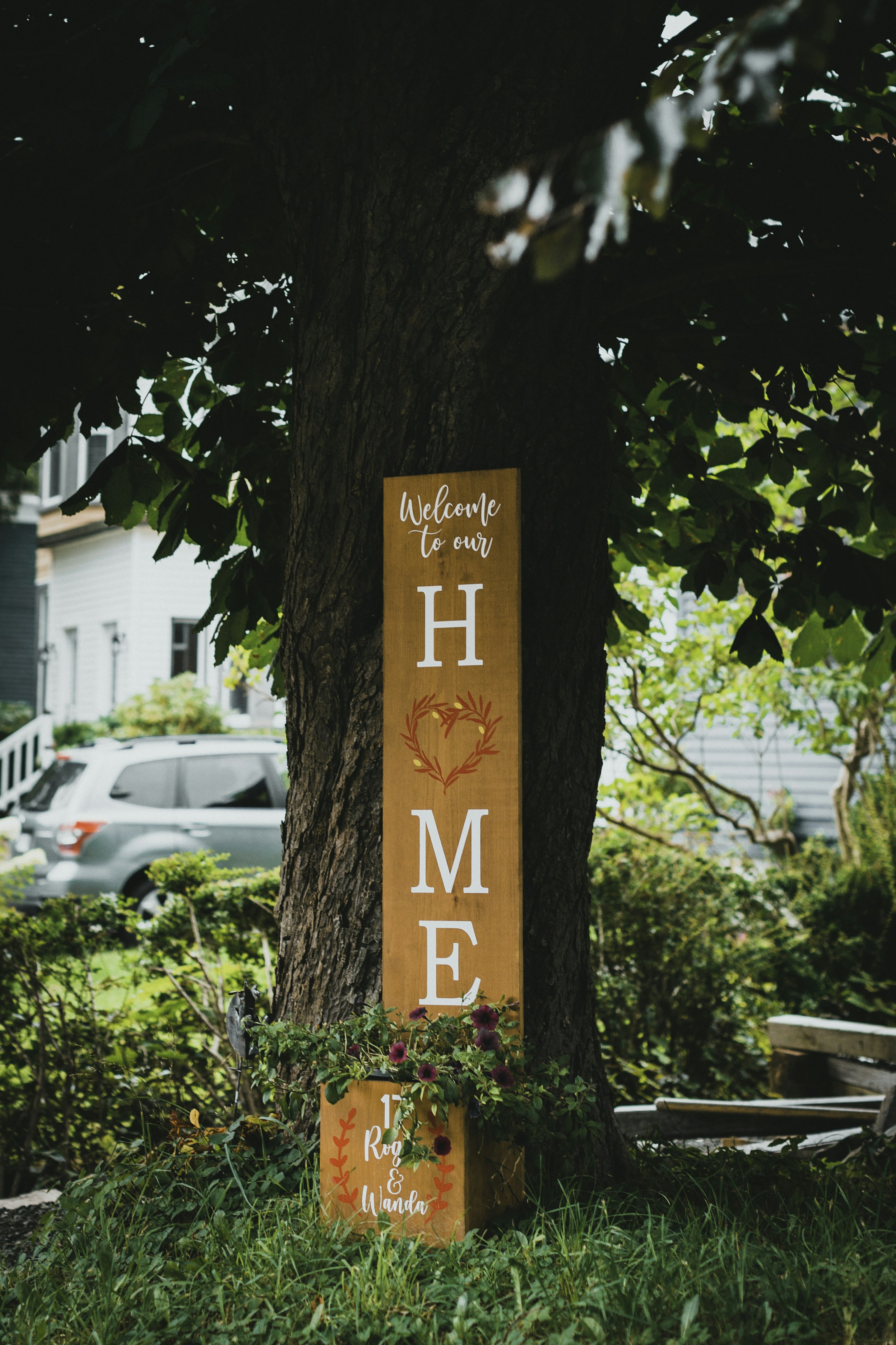 brown wooden signage on tree
