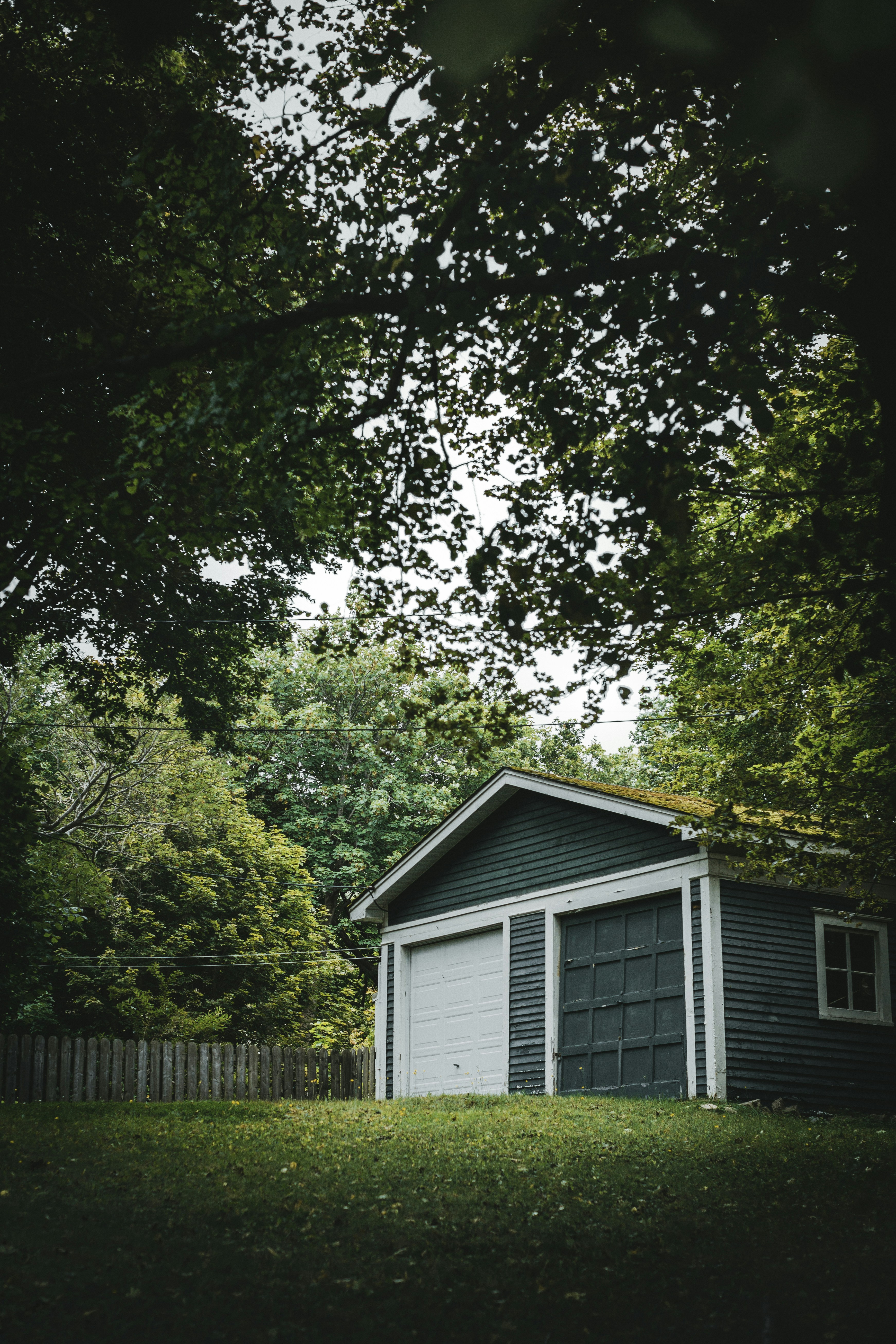 Photo by theshuttervision