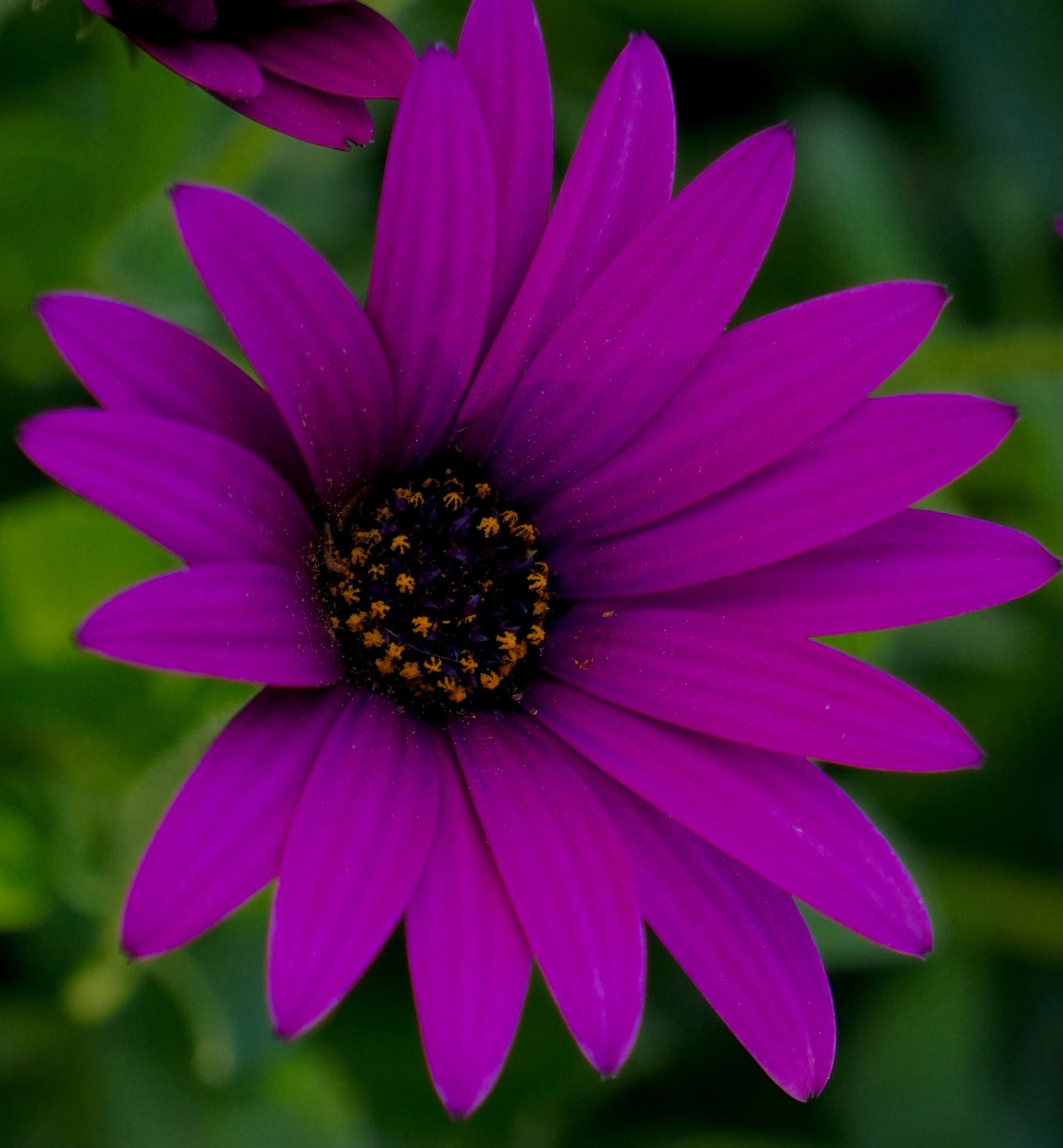 Photo by ankush_fotography88