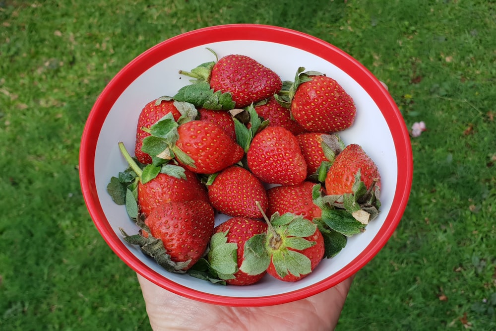 strawberries in pink plastic bucket