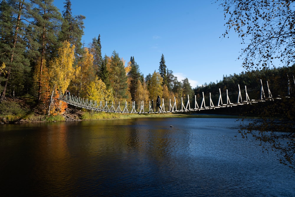 green trees beside river under blue sky during daytime