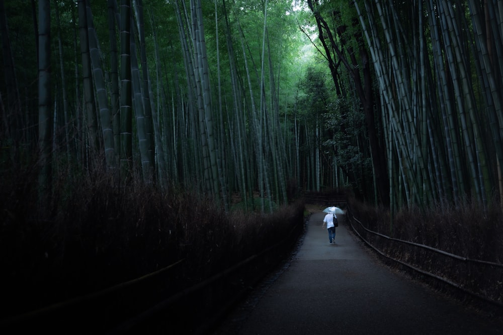 persona in camicia bianca che cammina sulla strada tra gli alberi durante il giorno