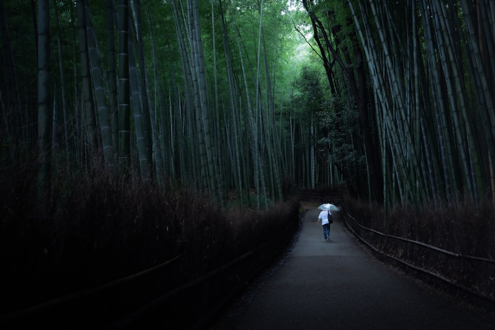 person in white shirt walking on road between trees during daytime