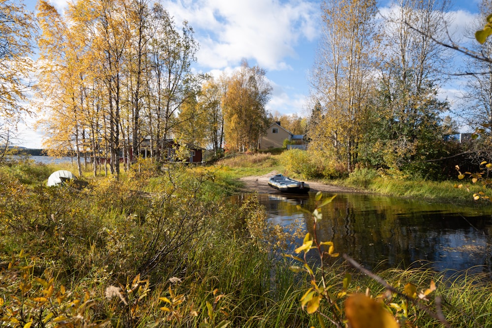 a small boat sitting on top of a river next to a forest