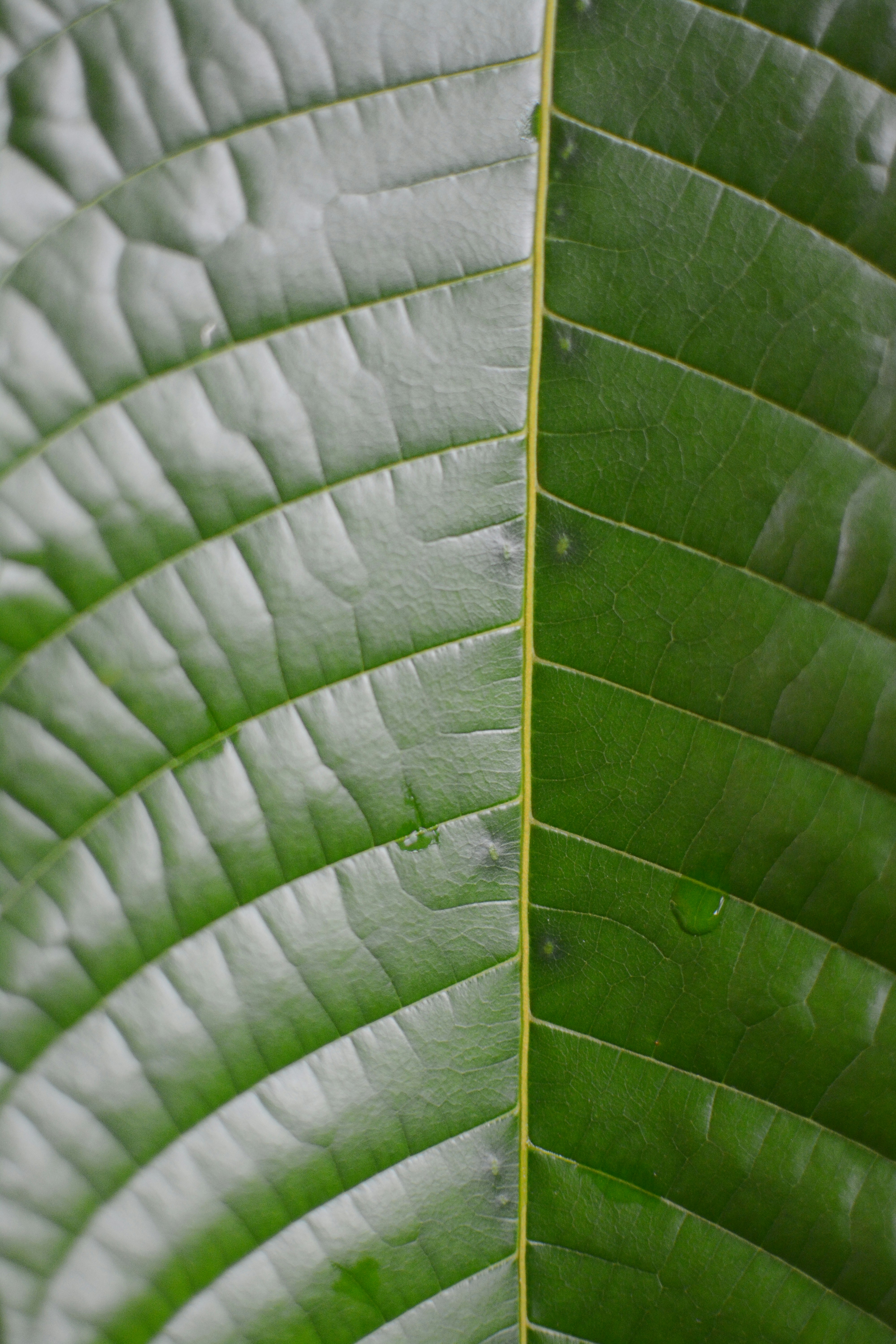 Photo by chelzrachel