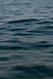 Close-up of calm water surface inside a float pod reflecting soft light.