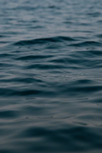 Close-up of calm water surface inside a float pod reflecting soft light.