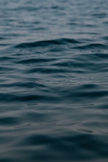 Calm ripples of water under soft, muted lighting, creating a serene and reflective surface.