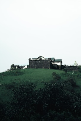 A house sits atop a lush green hill surrounded by verdant foliage. The structure is composed of light-colored materials with a sloping roof, and it is set against a clear, pale sky. The landscape around the house is rich with trees and shrubs, creating a serene, natural environment.