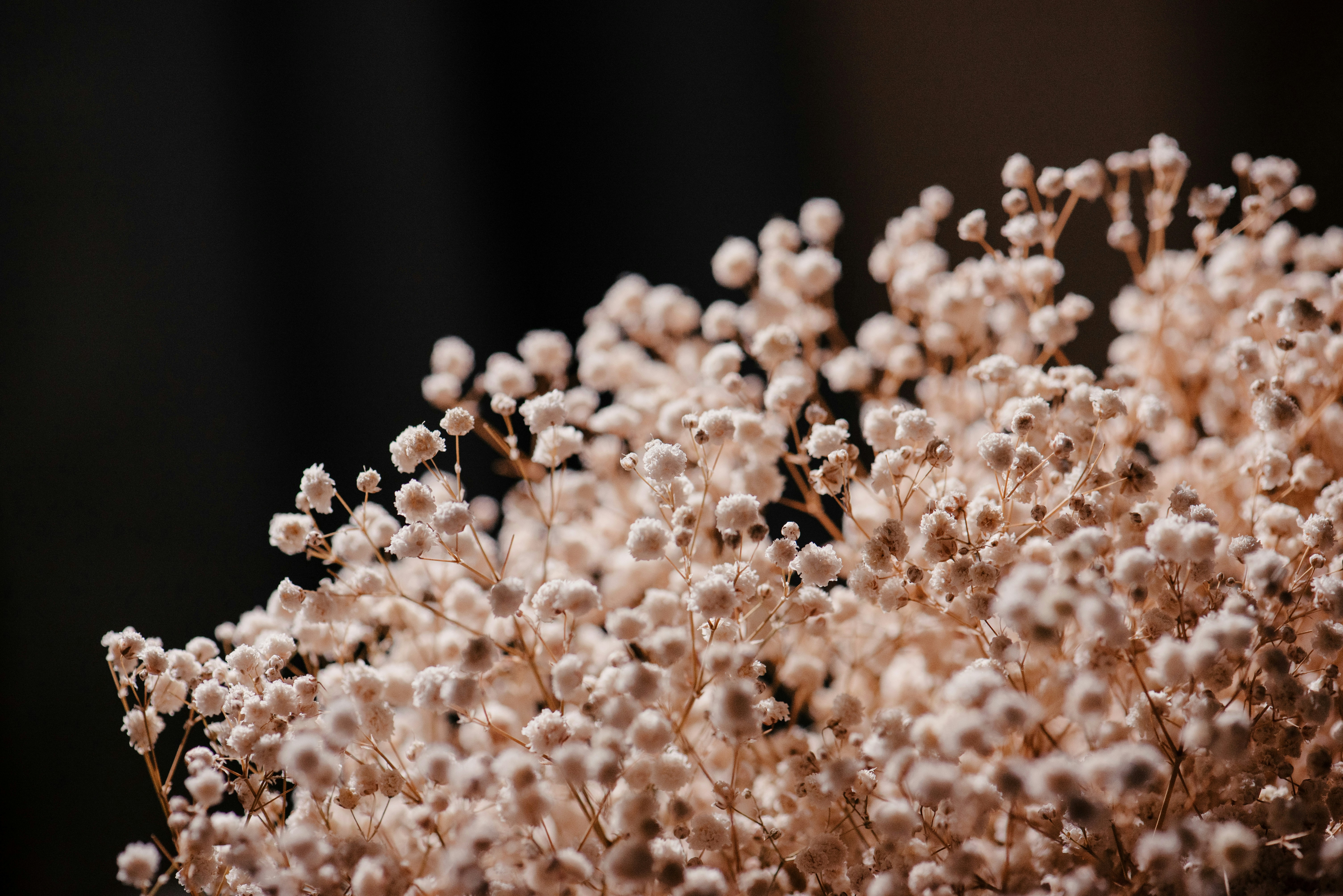 Photo by fuyouzhimeng