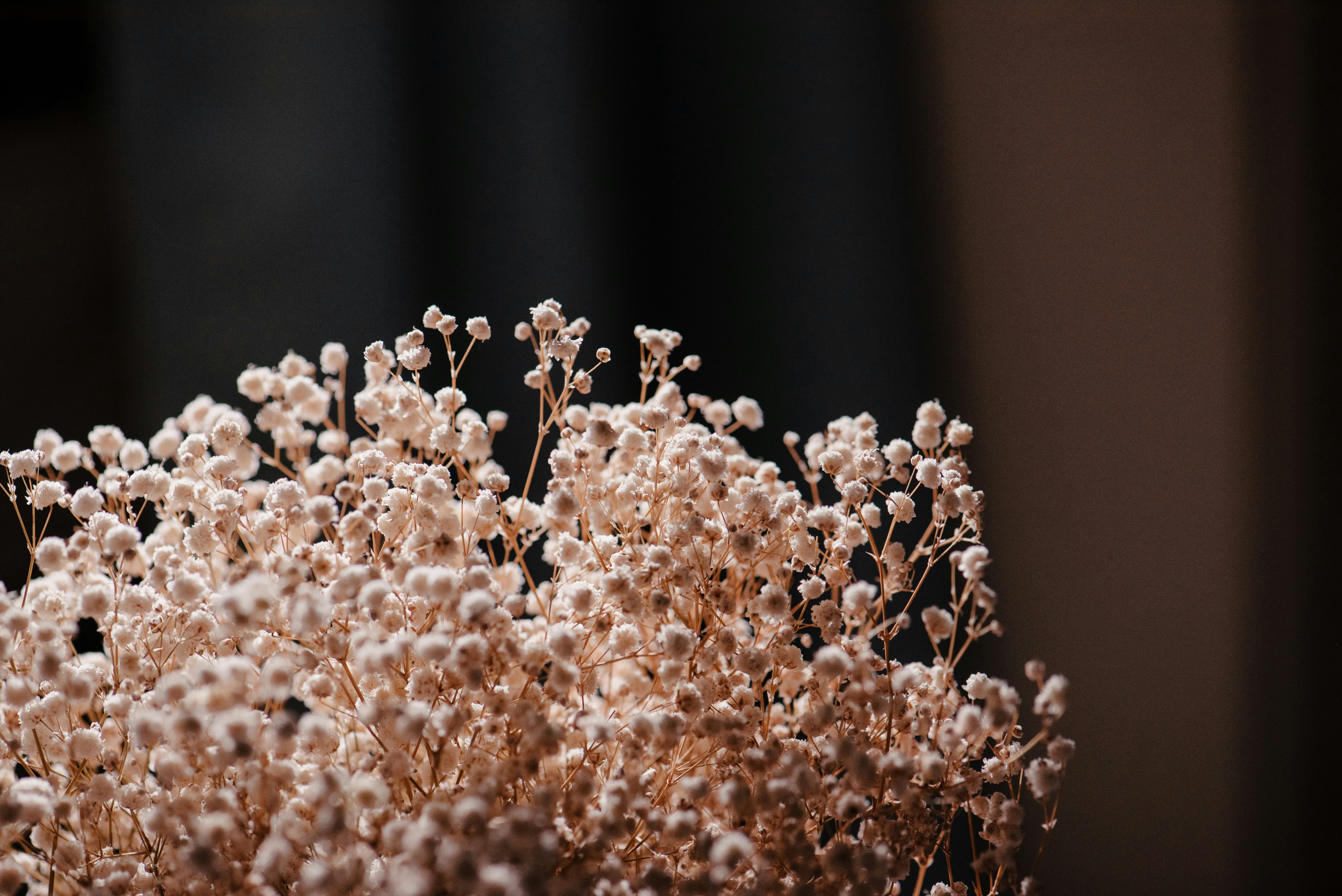 Photo by fuyouzhimeng