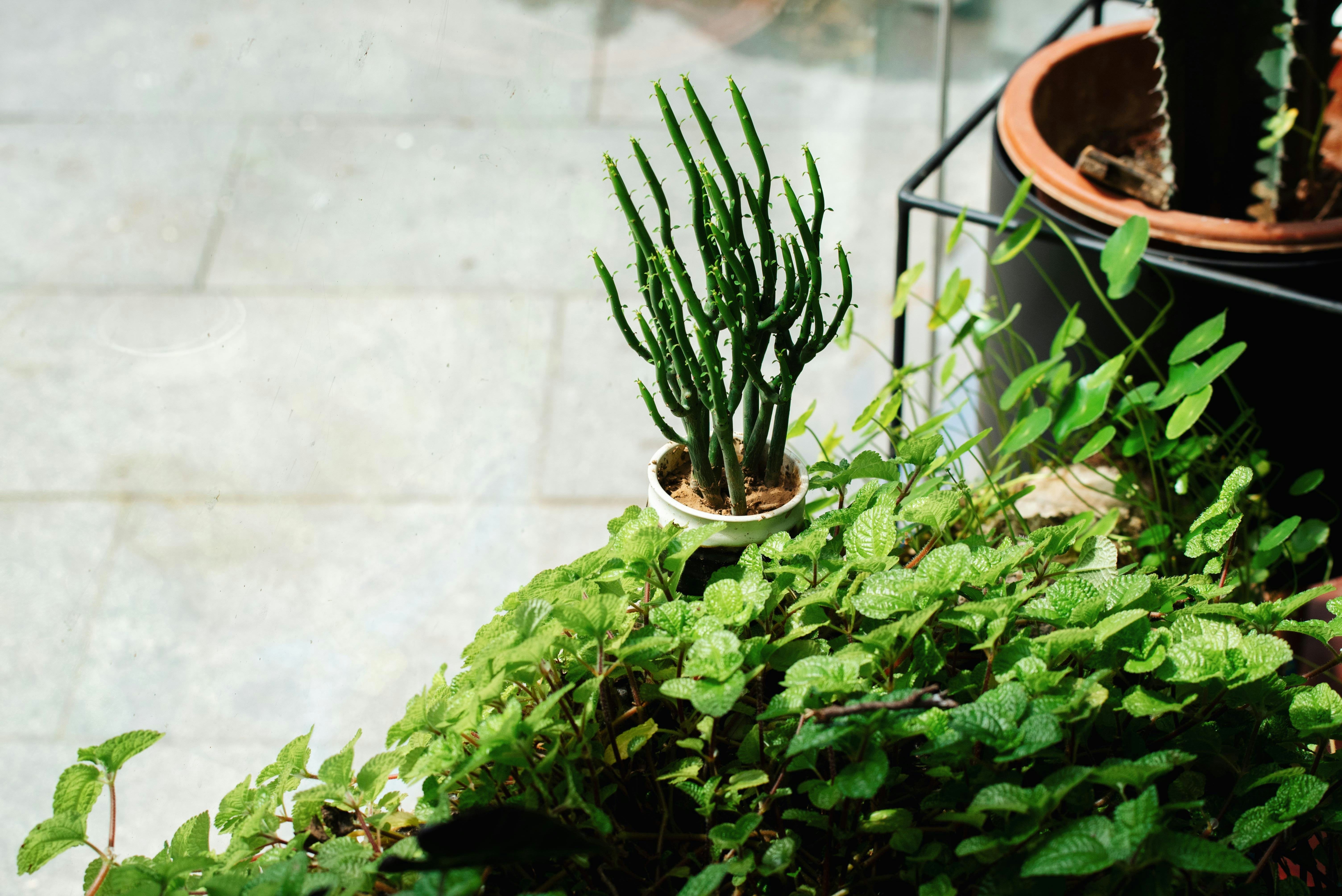 Photo by fuyouzhimeng