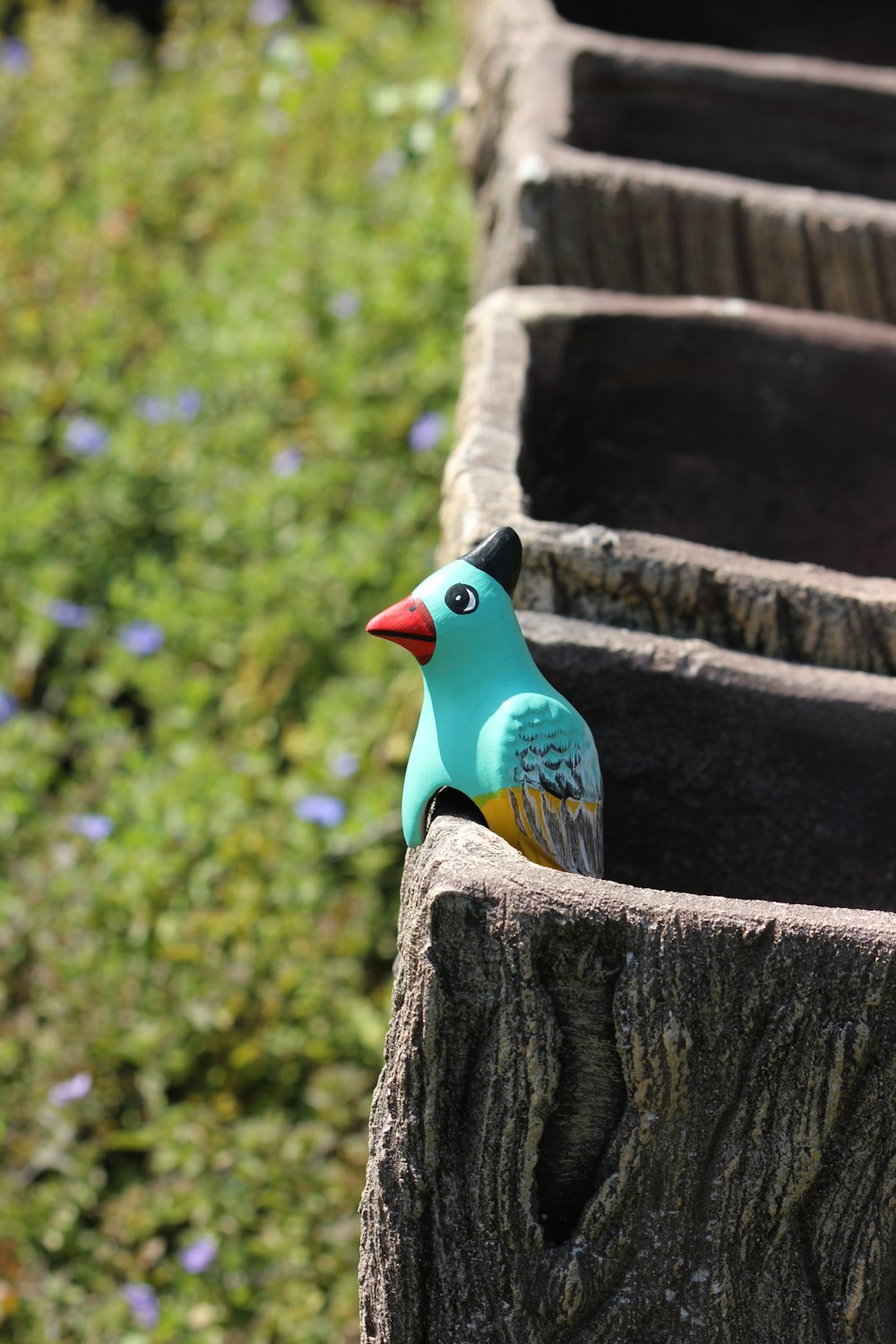 blue and black bird on brown tree trunk during daytime