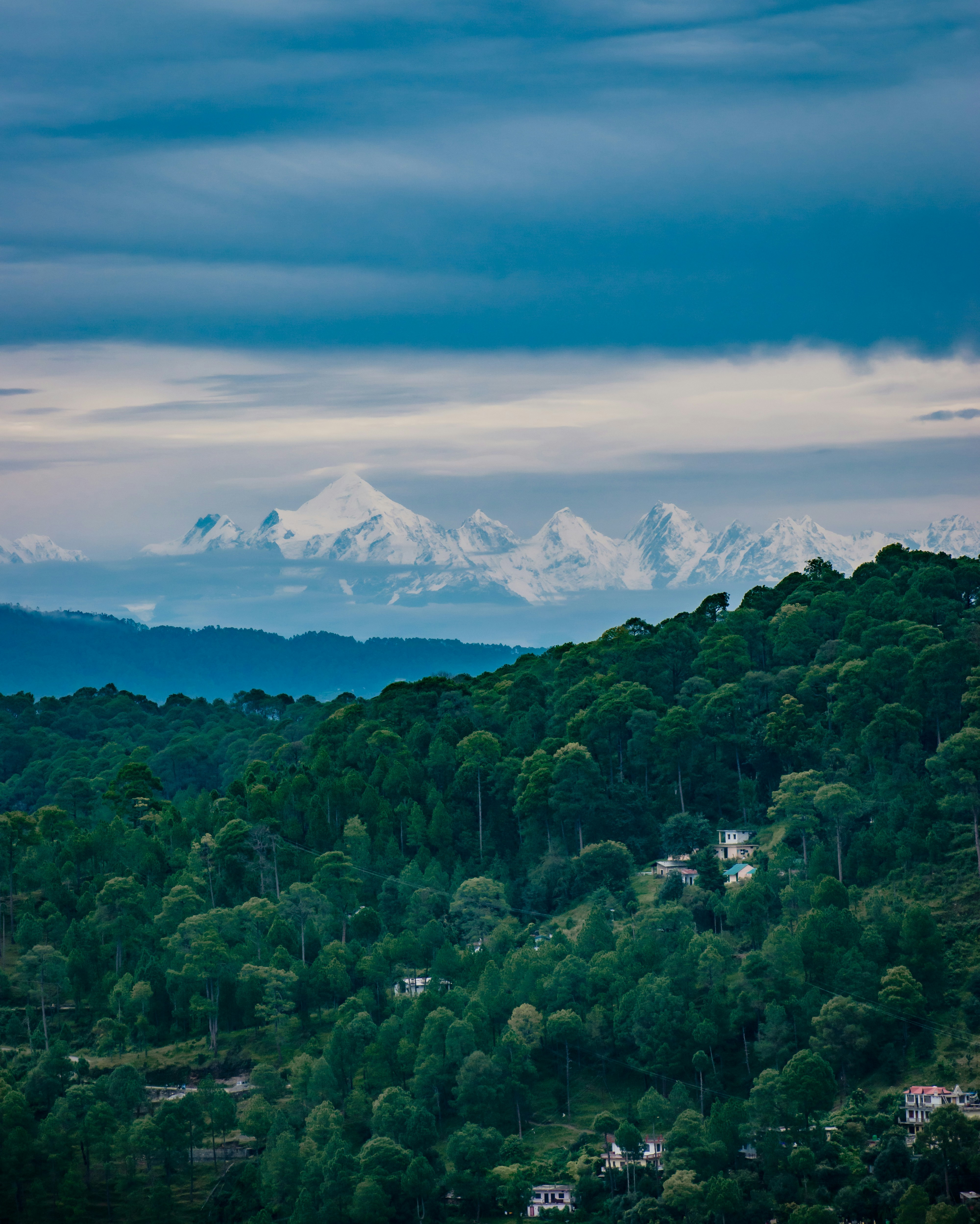 Ranikhet Peaceful Cantonment Retreat