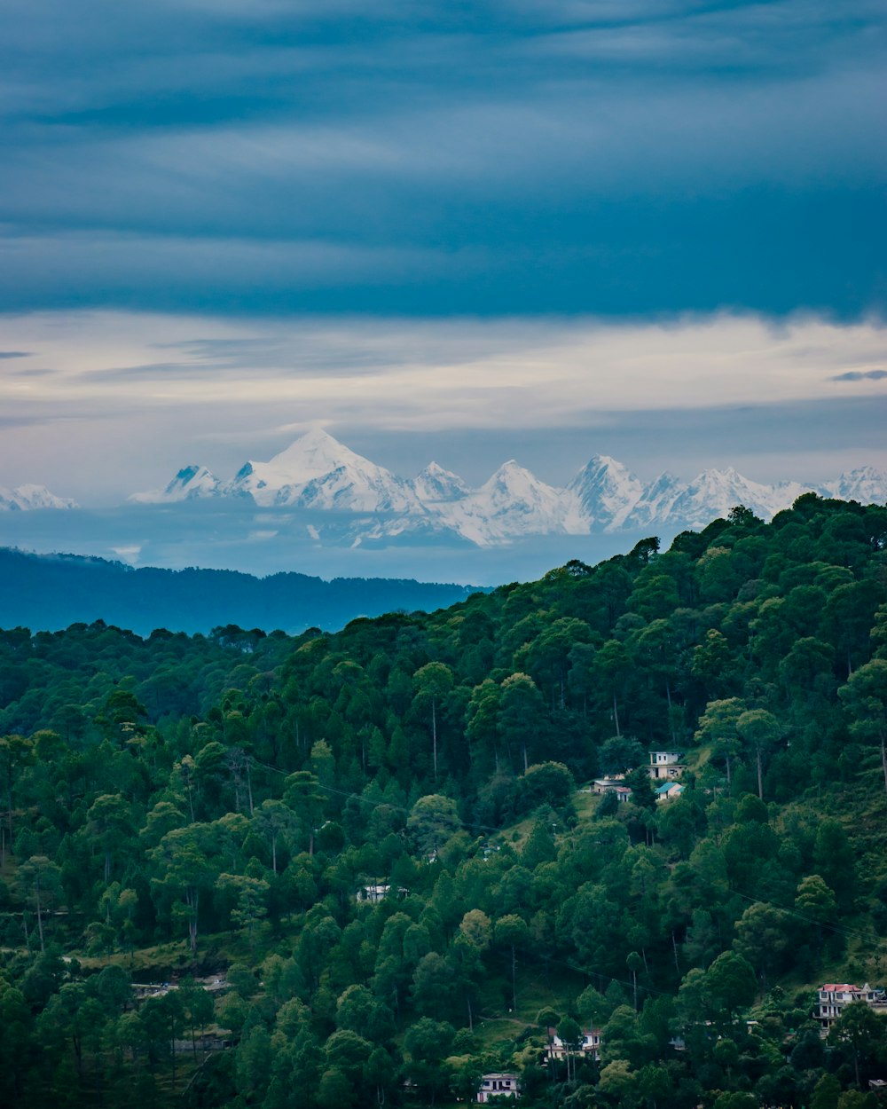 green trees near snow covered mountain during daytime