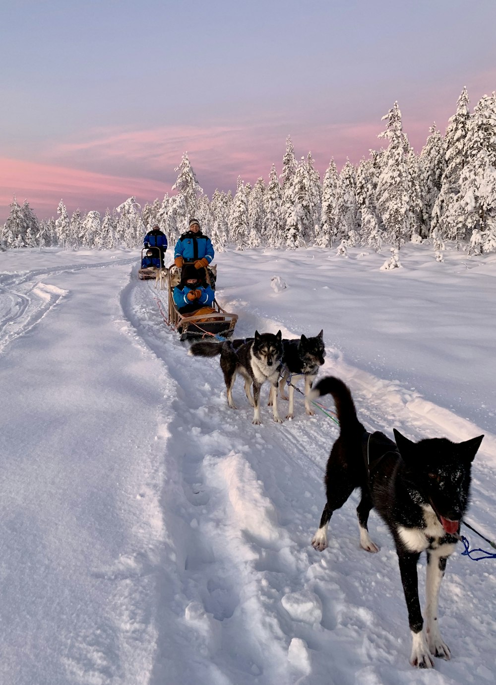 people riding on sled on snow covered ground during daytime