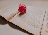 An open book with text in a non-Latin script lies on a flat surface. A pink rose is placed on top of the book, adding a delicate contrast to the pages.