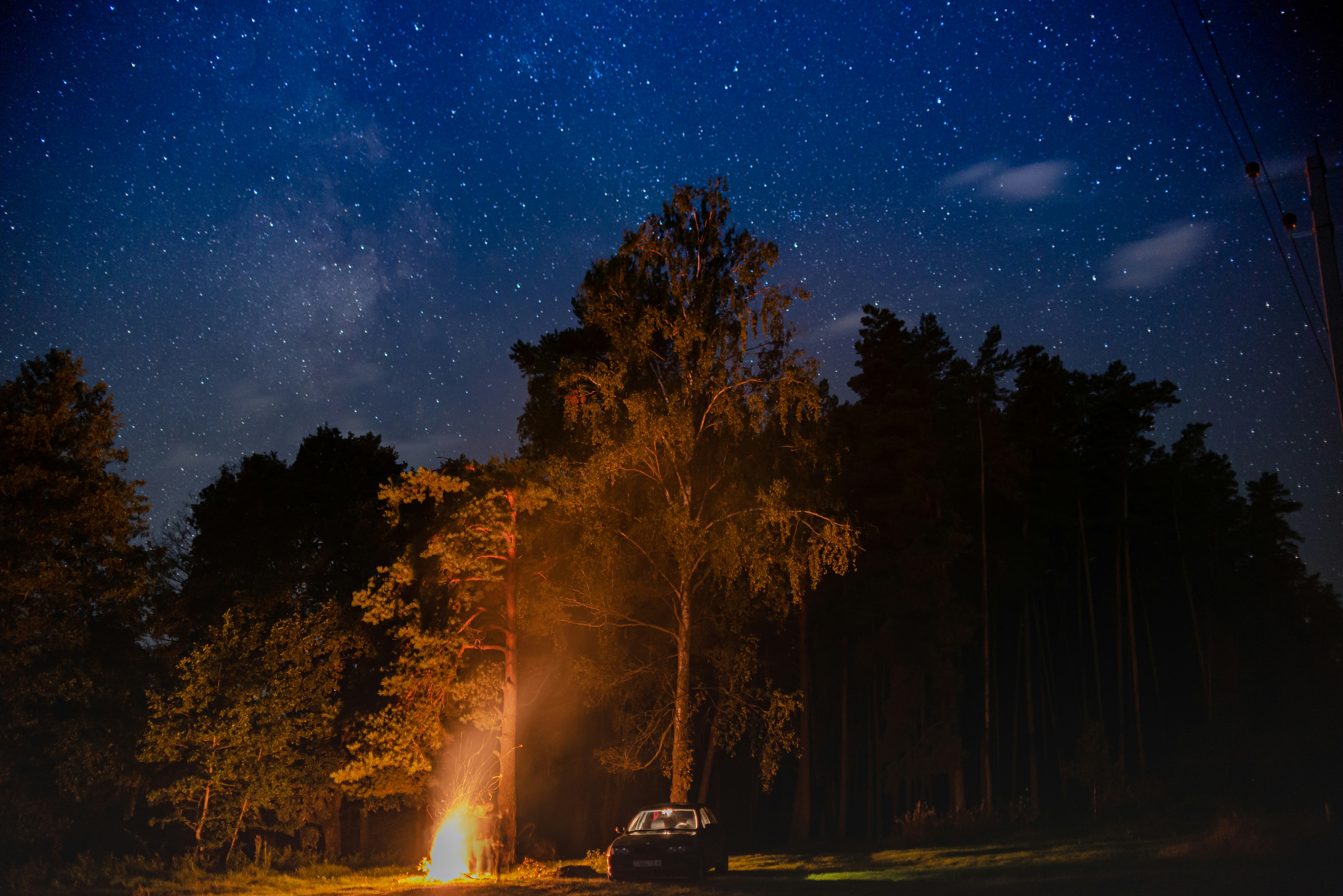 black car on road near trees during night time