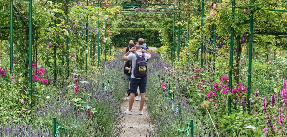 2 women walking on pathway surrounded by green plants during daytime