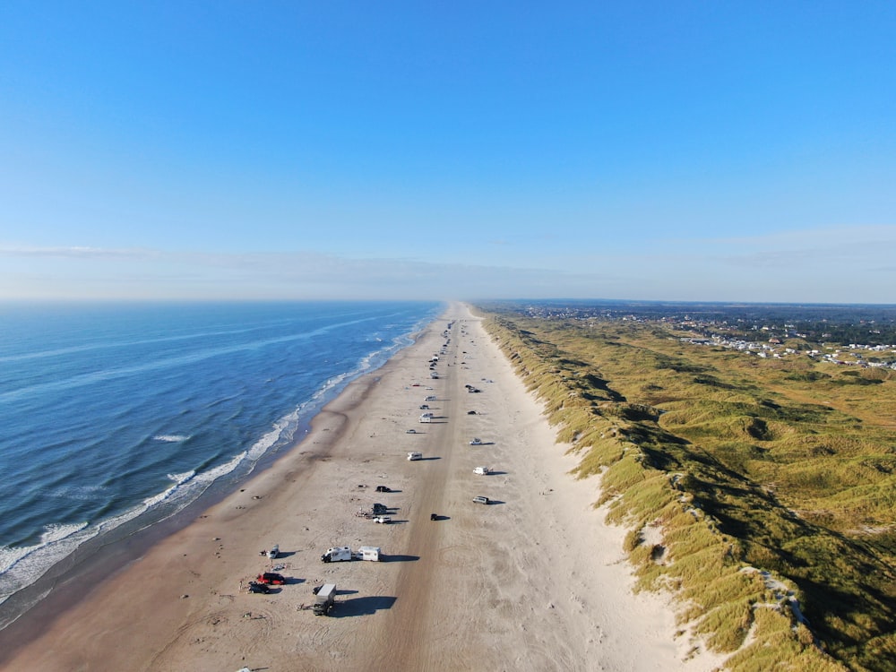 people on beach during daytime