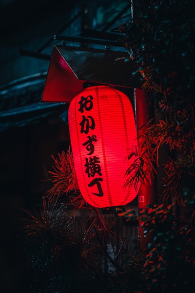 red and white love print lantern