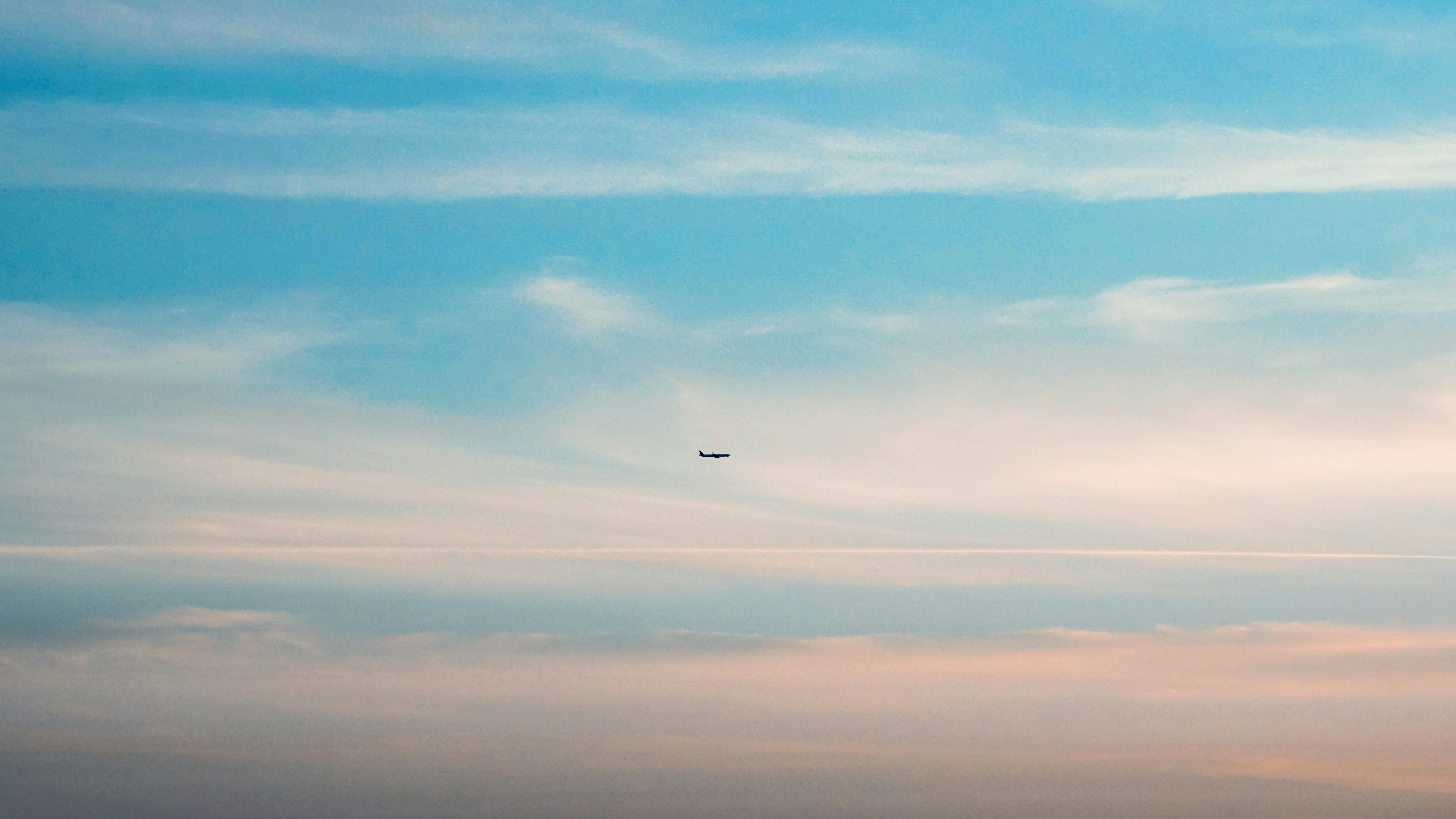 black bird flying under blue sky during daytime, 