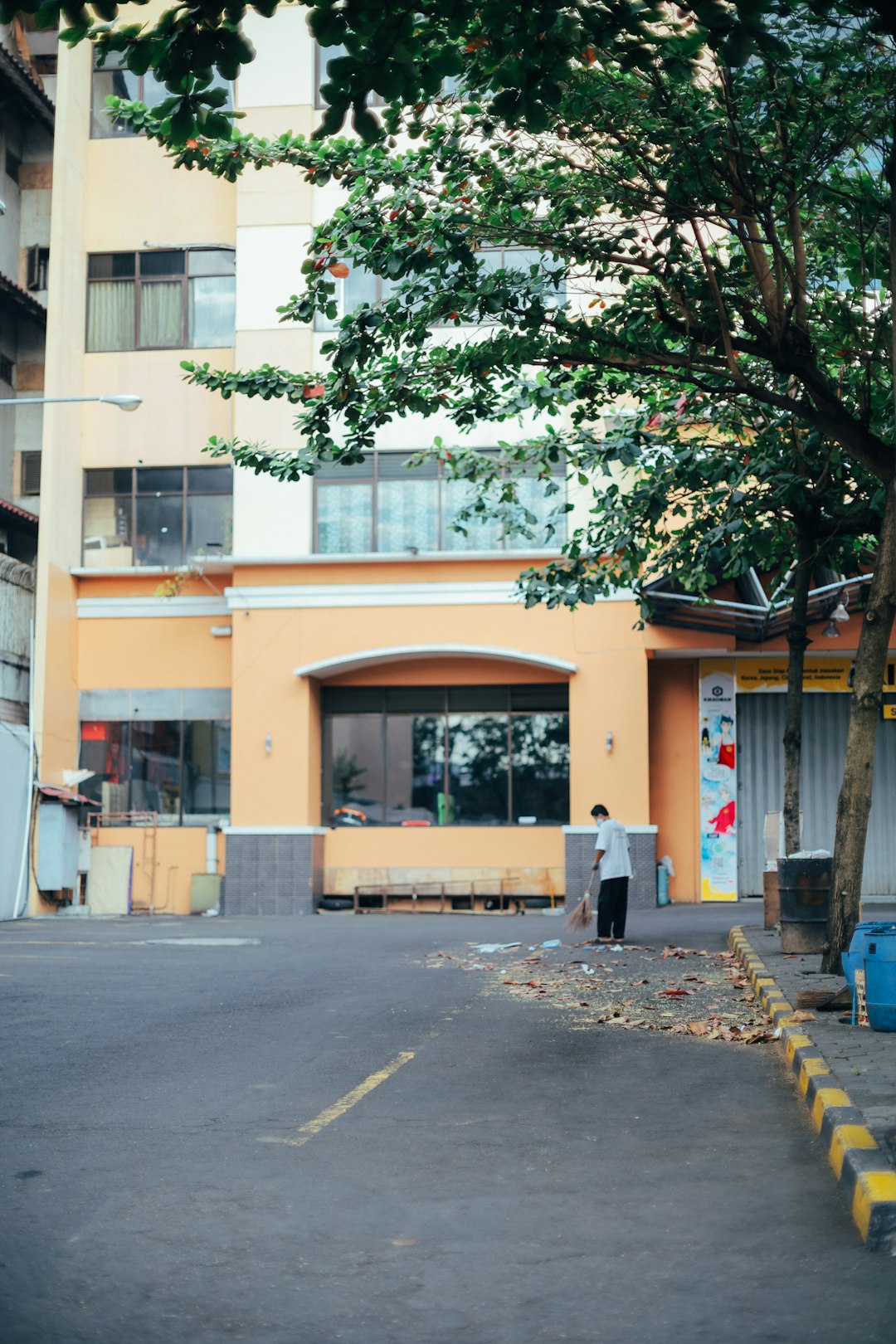 green tree in front of brown building