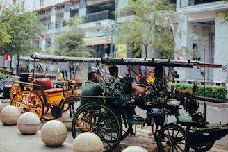 a group of people riding in a horse drawn carriage