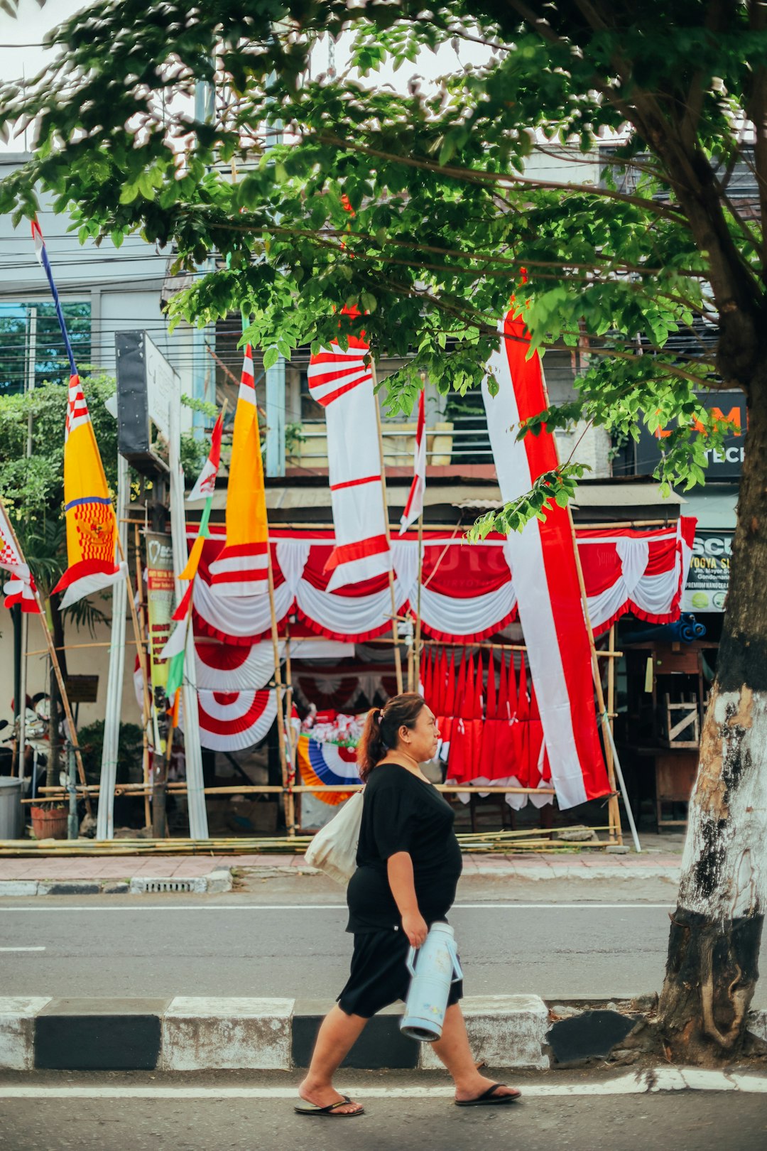 people holding flags during daytime