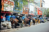 people riding horses on street during daytime