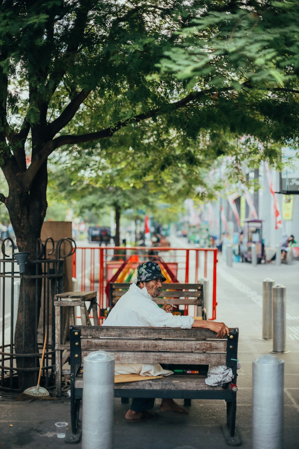 people sitting on bench under tree during daytime