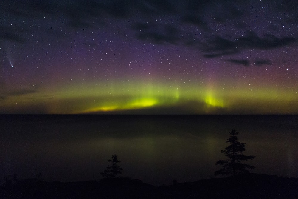 green trees near body of water under starry night