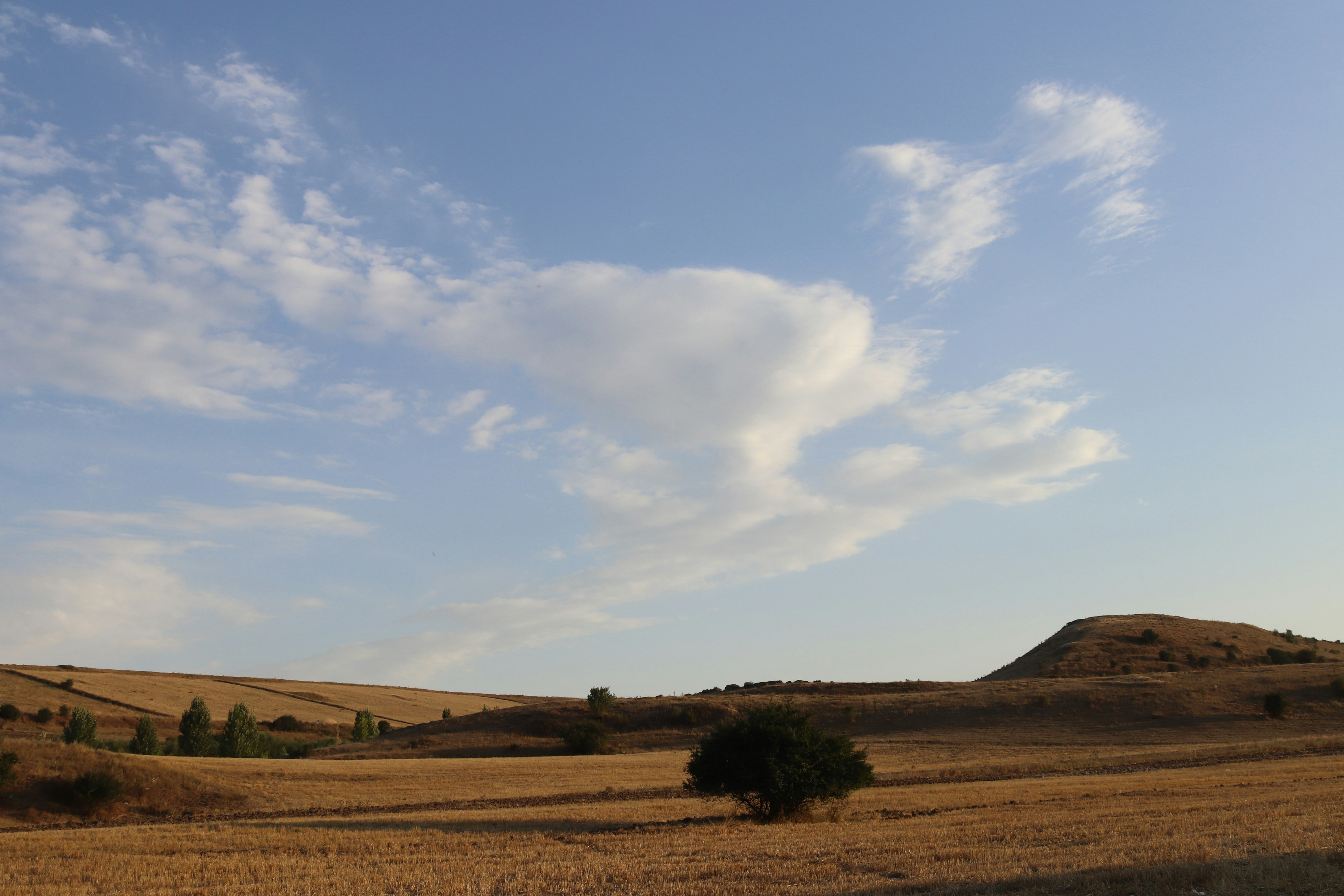 Photo by zahraabdllmig