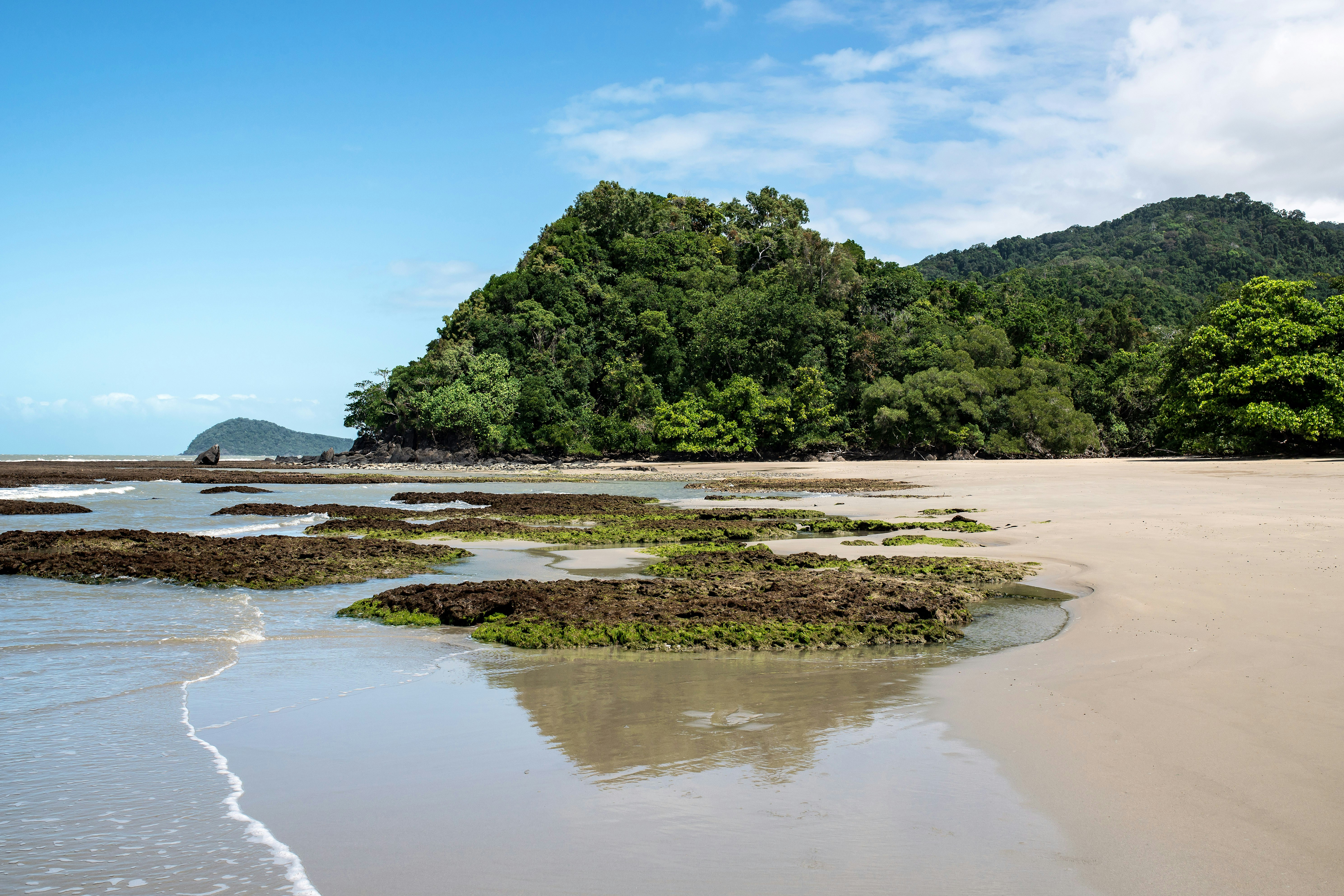 green trees beside body of water during daytime, Emmagen beach, a secluded beach North of Cape Tribulation (you can see the headland of Cape Tribulation in the distance). North Queensland,  Australia.