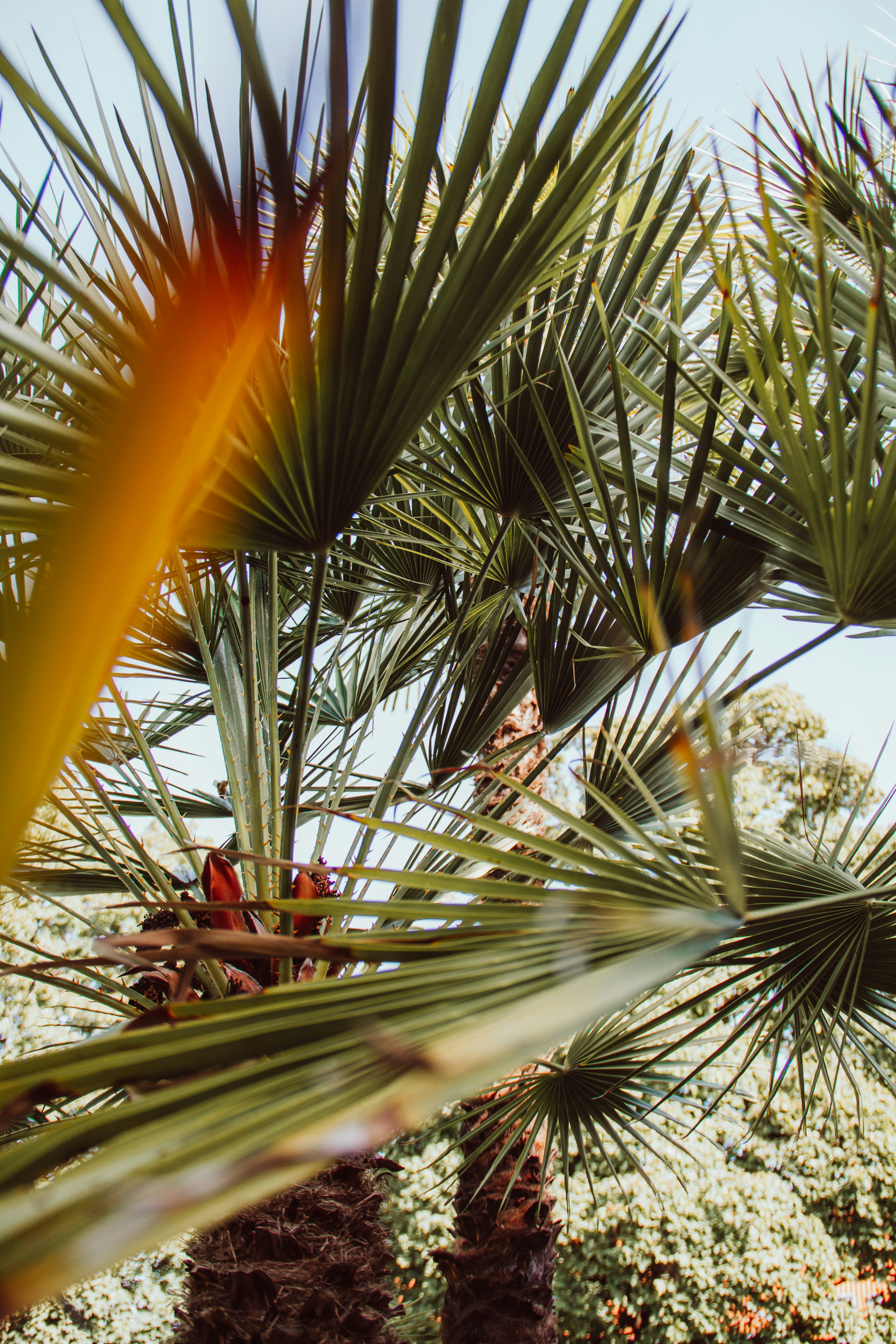 Photo by ingridmartinussen