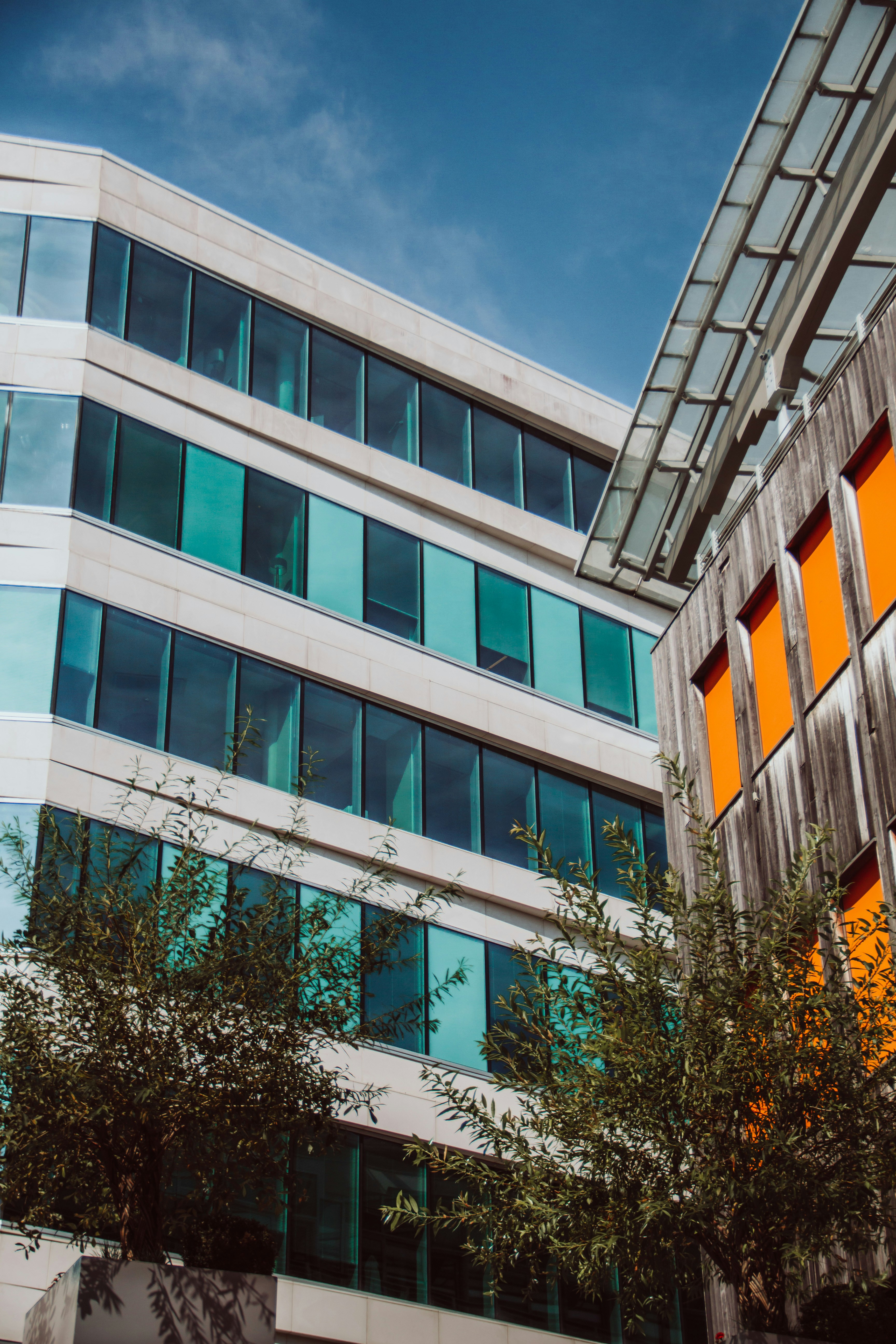 Photo by ingridmartinussen