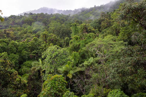 Malaysia East Coast — Islands & Rainforest 1