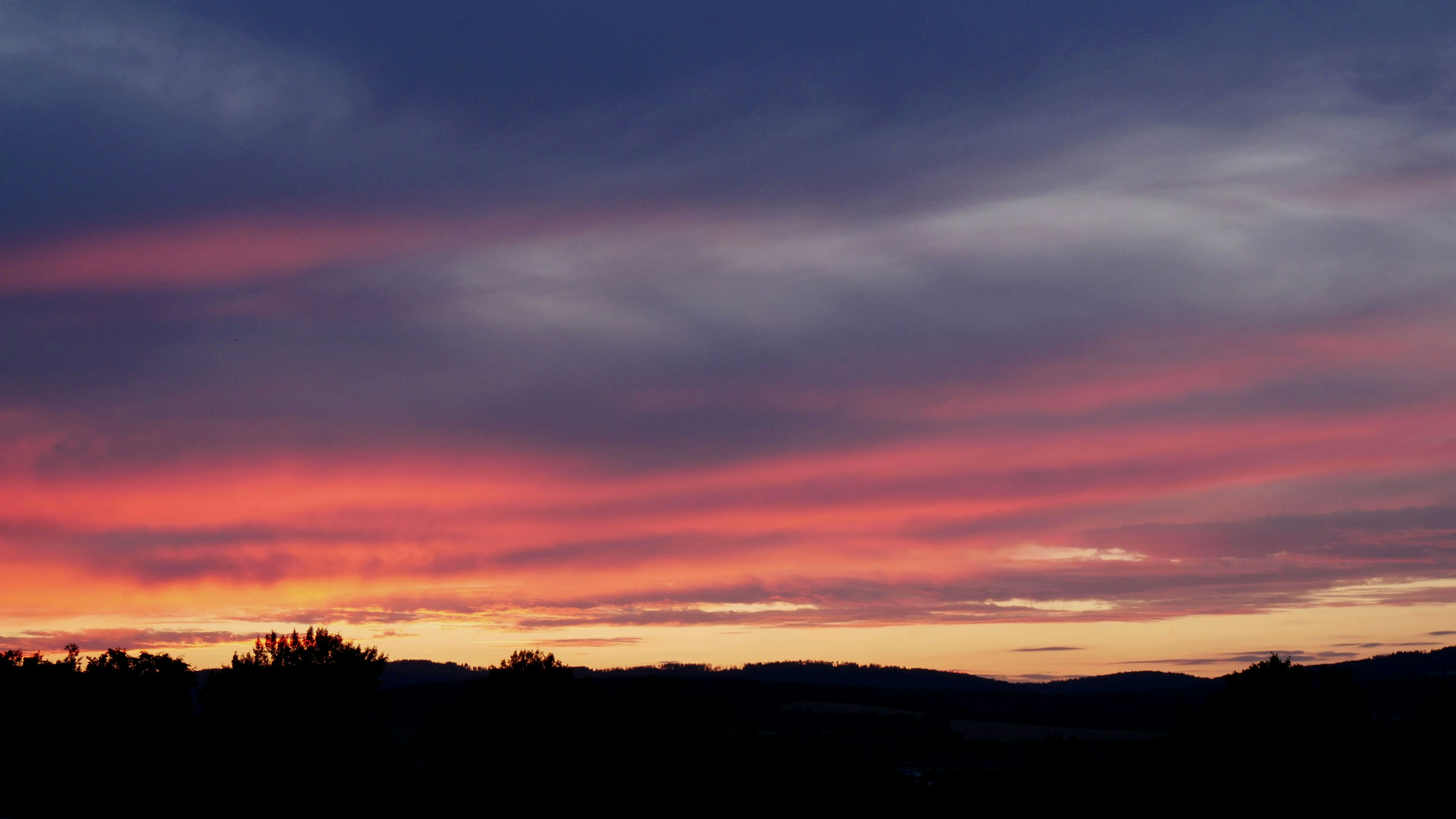 Photo by frederikmerten