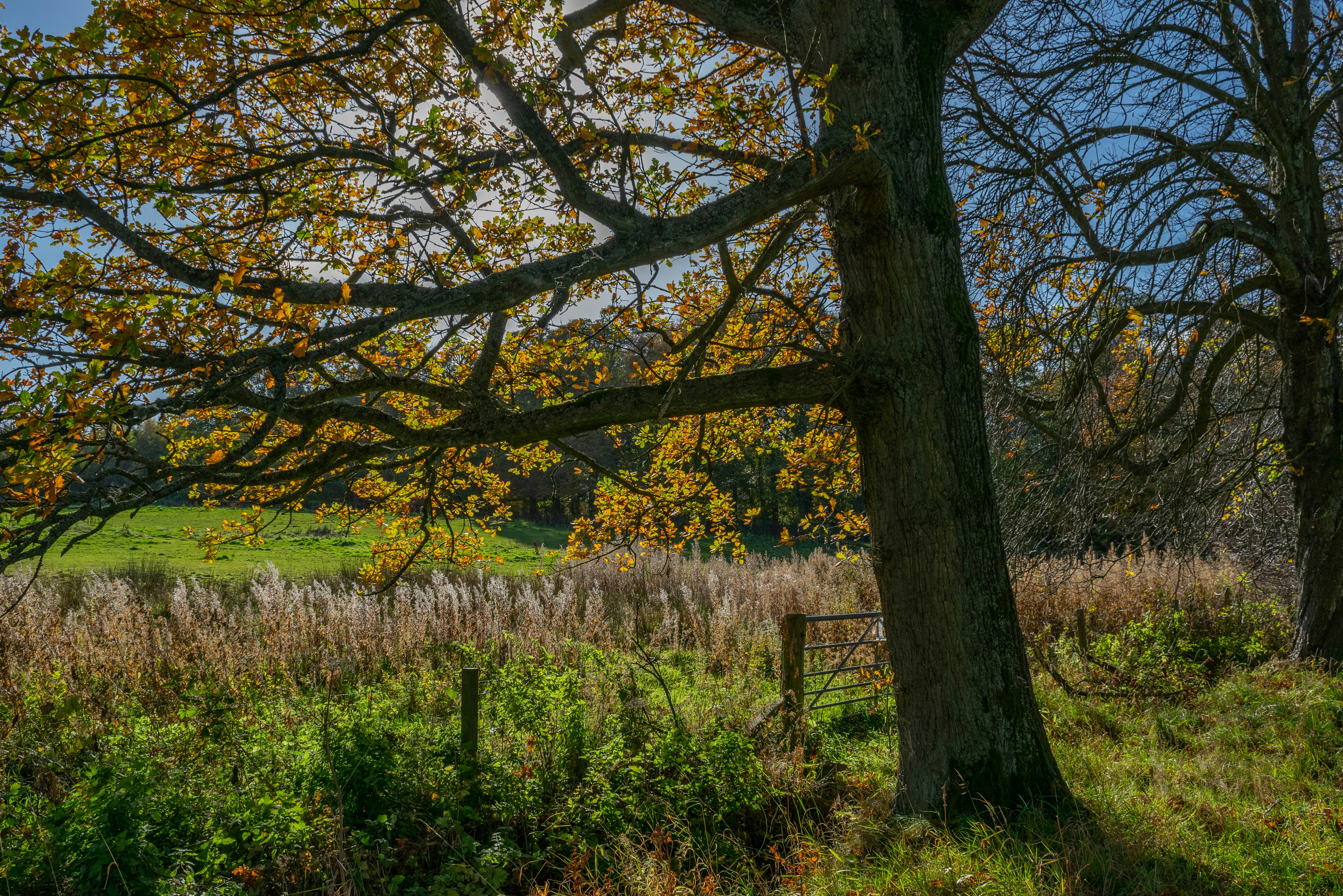 Photo by peterslaing