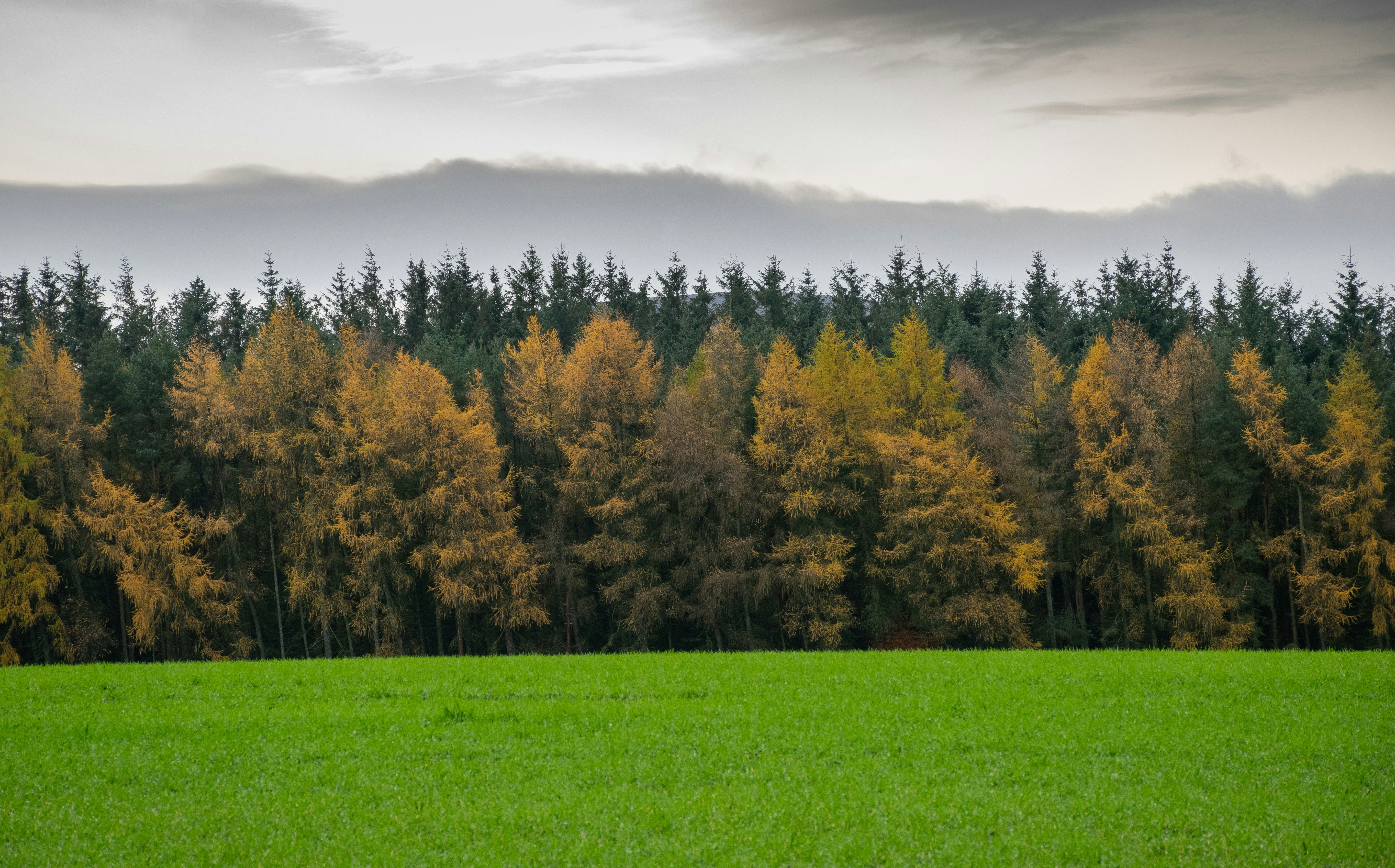 Photo by peterslaing