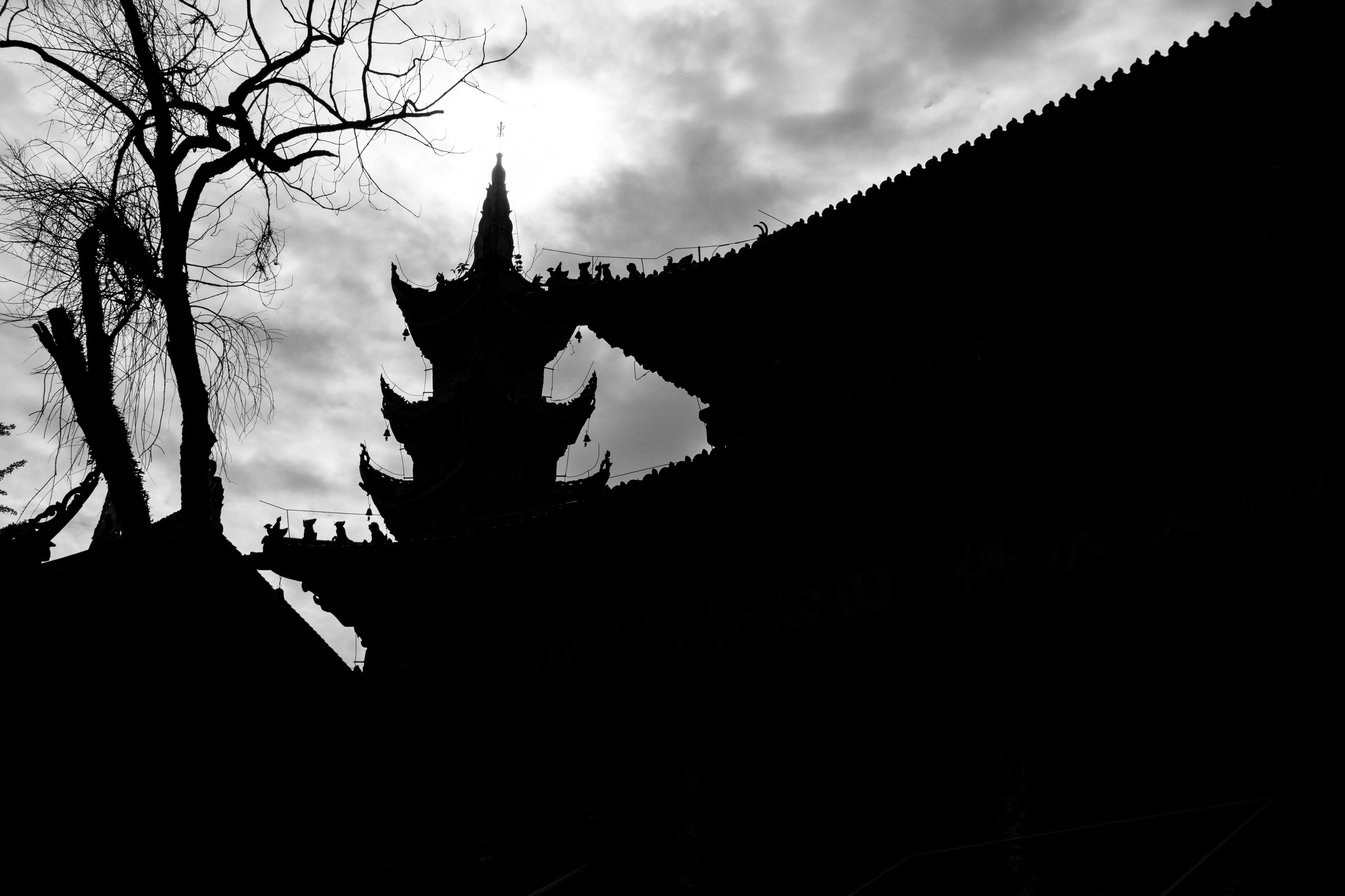 Photo by chriswong97