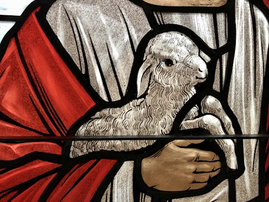 A detailed depiction of a stained glass artwork featuring a lamb held by a pair of hands. The scene is framed with bold black outlines against textured backgrounds in red, white, and beige hues.