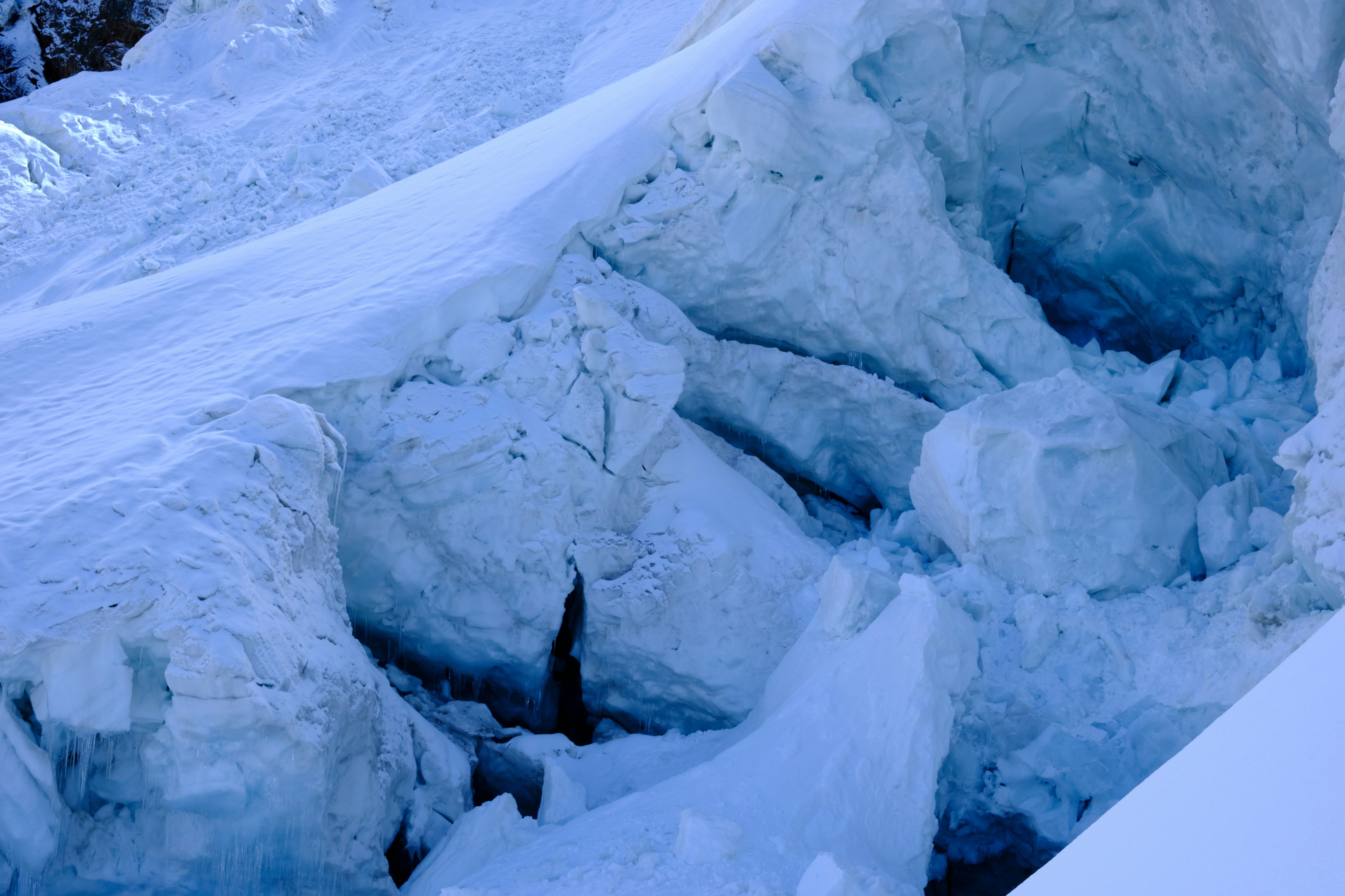 Photo by bullfishfighter