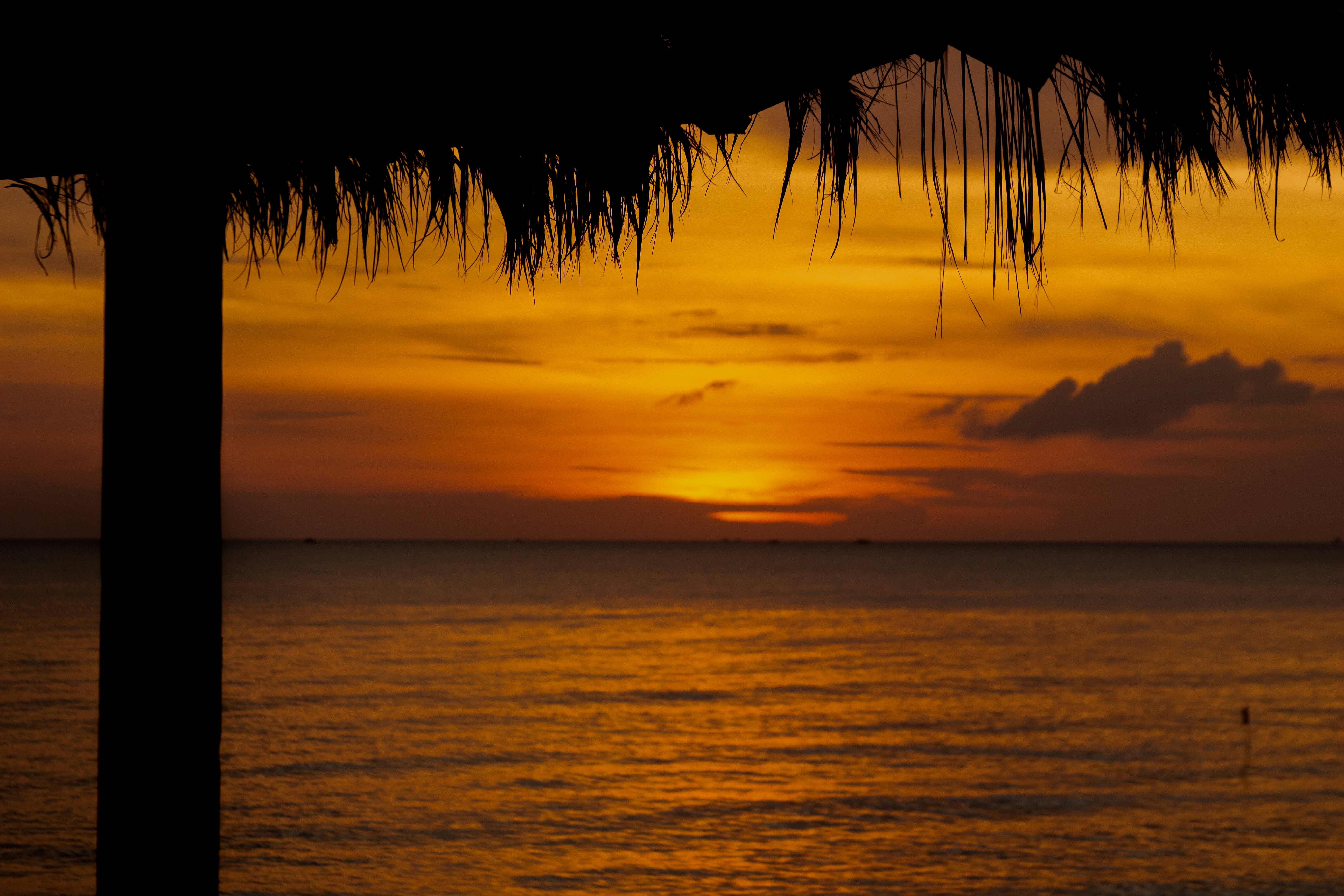 Photo by alessandro_zanini